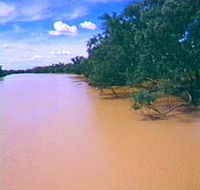 Warrego River - Kingaroy Accommodation