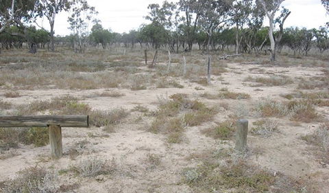 Culgoa Connellys Track - Kingaroy Accommodation 0