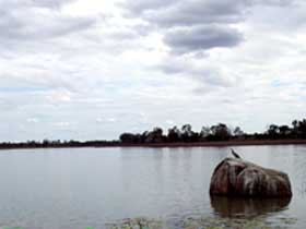 Theresa Creek Dam - Kingaroy Accommodation 2