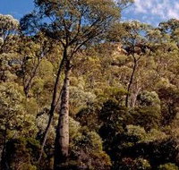 Ka Ka Mundi Carnarvon National Park - Kingaroy Accommodation