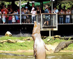 Knuckey Lagoon NT Kingaroy Accommodation