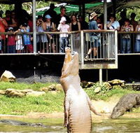 Crocodylus Park - Kingaroy Accommodation