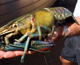 Fairbairn Dam, Lake Maraboon - Kingaroy Accommodation 3