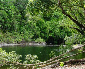Broadwater, Abergowrie State Forest - Kingaroy Accommodation 0