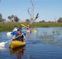 Marsh Meanders - Kingaroy Accommodation