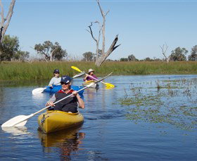 Marsh Meanders - Kingaroy Accommodation 0
