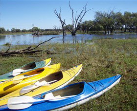 Marsh Meanders - Kingaroy Accommodation 1