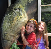 Australian Opal Centre - Kingaroy Accommodation