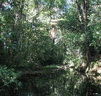 Wabunga Wayemba Charmillan Creek walking track - Kingaroy Accommodation