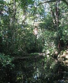Wabunga Wayemba (Charmillan Creek Walking Track) - Kingaroy Accommodation 0