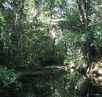 Misty Mountains Wilderness Walking Tracks - Kingaroy Accommodation