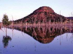 Nuga Nuga National Park And Lake Nuga Nuga - Kingaroy Accommodation 3