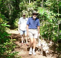 Wongabel State Forest - Kingaroy Accommodation