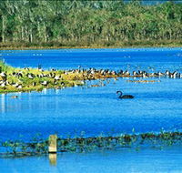 Hasties Swamp National Park - Kingaroy Accommodation