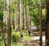 Hallorans Hill Conservation Park - Kingaroy Accommodation