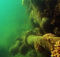Wreck Diving at Magnetic Island - Kingaroy Accommodation