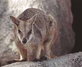 Arcadia At Magnetic Island - Kingaroy Accommodation 2