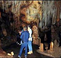 Tantanoola Caves Conservation Park - Kingaroy Accommodation