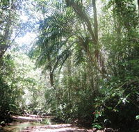 Mount Lewis National Park - Kingaroy Accommodation