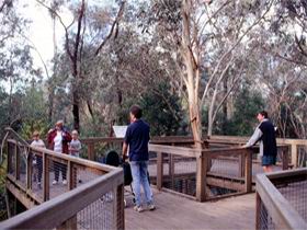 Valley Lake Conservation Park - Kingaroy Accommodation 1