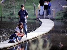 Valley Lake Conservation Park - Kingaroy Accommodation 2