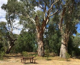 Bob Christensen Reserve - Kingaroy Accommodation 2