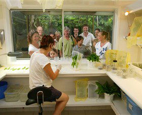 Australian Butterfly Sanctuary - Kingaroy Accommodation 3