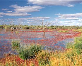Adventure Way - Kingaroy Accommodation 3