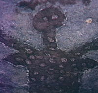 Quinkan Reserves Ancient Rock Art - Kingaroy Accommodation
