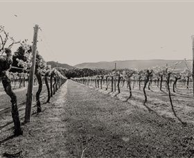 Mount Dryden VIC Kingaroy Accommodation