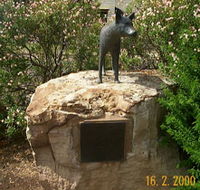 Dingo Statue - Kingaroy Accommodation