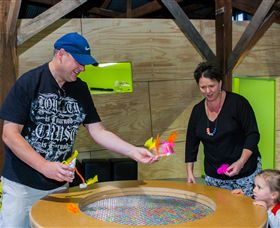 Twisted - Science At Play - Kingaroy Accommodation 2