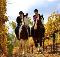 Billabong Ranch - Kingaroy Accommodation