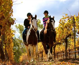Billabong Ranch - Kingaroy Accommodation 0
