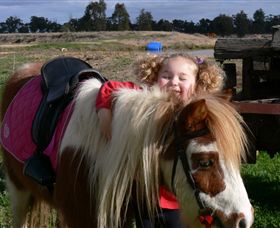 Billabong Ranch - Kingaroy Accommodation 1