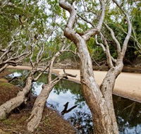Oyala Thumotang National Park CYPAL - Kingaroy Accommodation