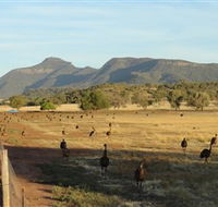 Emu Logic - Kingaroy Accommodation