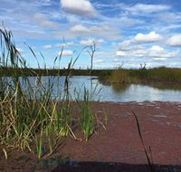 Gwydir Wetlands - Kingaroy Accommodation