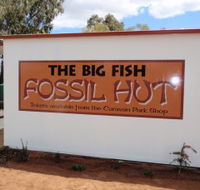 Big Fish Fossil Hut at Peak Hill - Kingaroy Accommodation