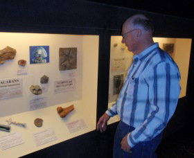 Big Fish Fossil Hut At Peak Hill - Kingaroy Accommodation 1