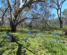 Macquarie Valley Trails - Kingaroy Accommodation 0