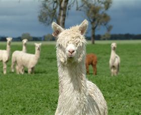 Creswick Woollen Mills - Kingaroy Accommodation 1