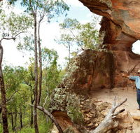 Pilliga National Park - Kingaroy Accommodation