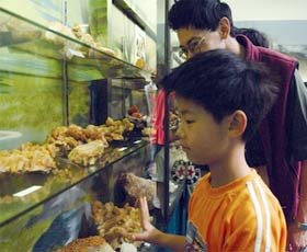 Crystal Kingdom - Kingaroy Accommodation 2