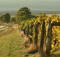 Captains Creek Organic Wines - Kingaroy Accommodation