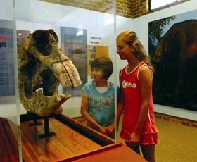 Australian Museum Diprotodon Exhibition - Kingaroy Accommodation 0