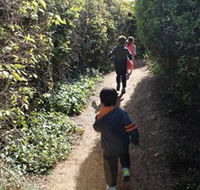 The Tangled Maze  Mistydowns Nursery - Kingaroy Accommodation