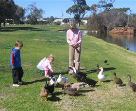 Roy Little Park Merredin - Kingaroy Accommodation 0
