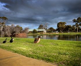 Roy Little Park Merredin - Kingaroy Accommodation 2