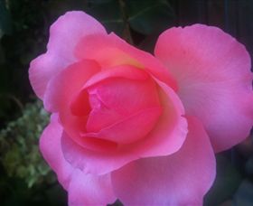 Abandon Stress Mobile Massage - Kingaroy Accommodation 2